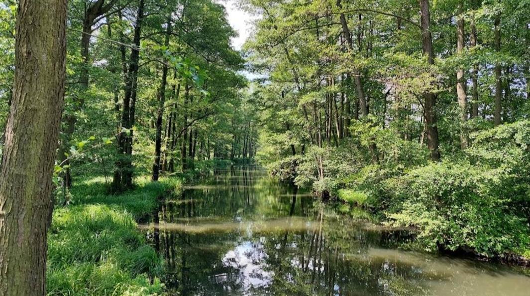 Spreewald Spreemilia Gurkenbude Люббенау Екстер'єр фото